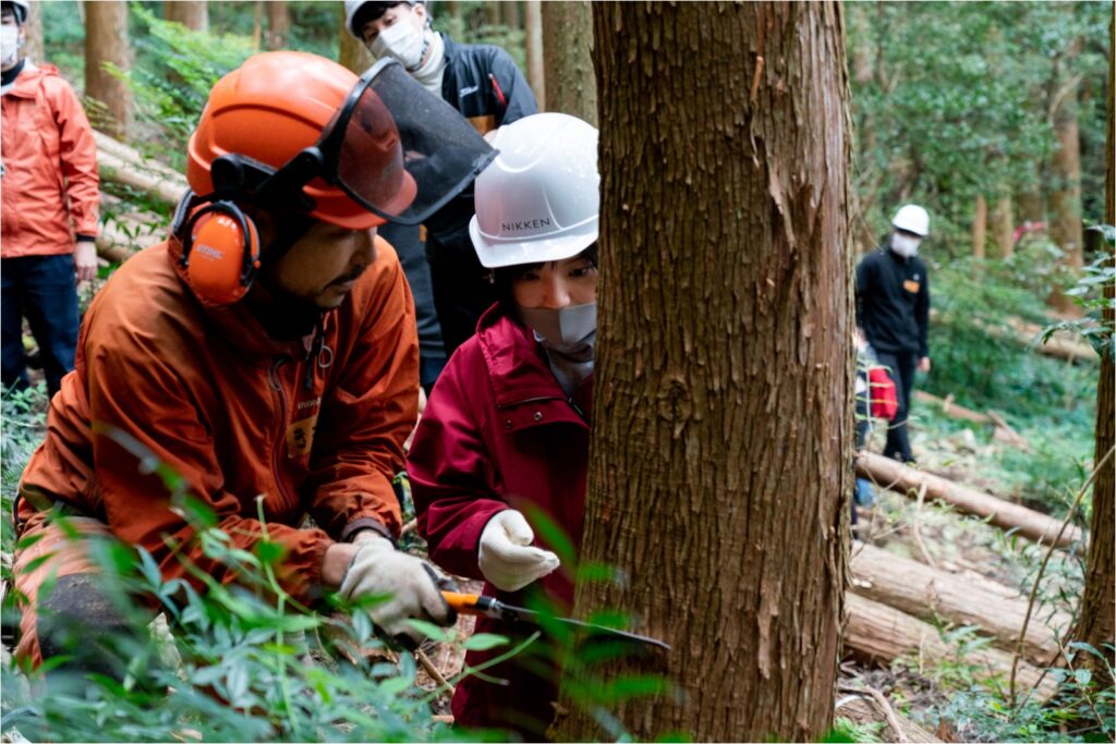 立木にノコギリの刃を当て、伐る角度を教える木こりの前田さんと教わる木こり隊の若手社員