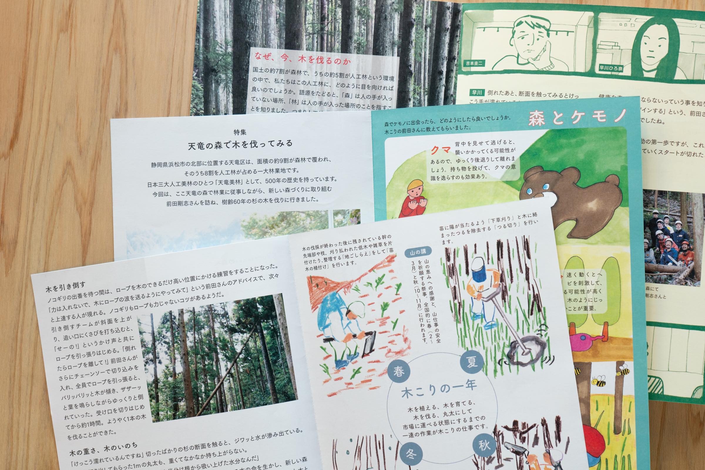 森と紙の関連画像