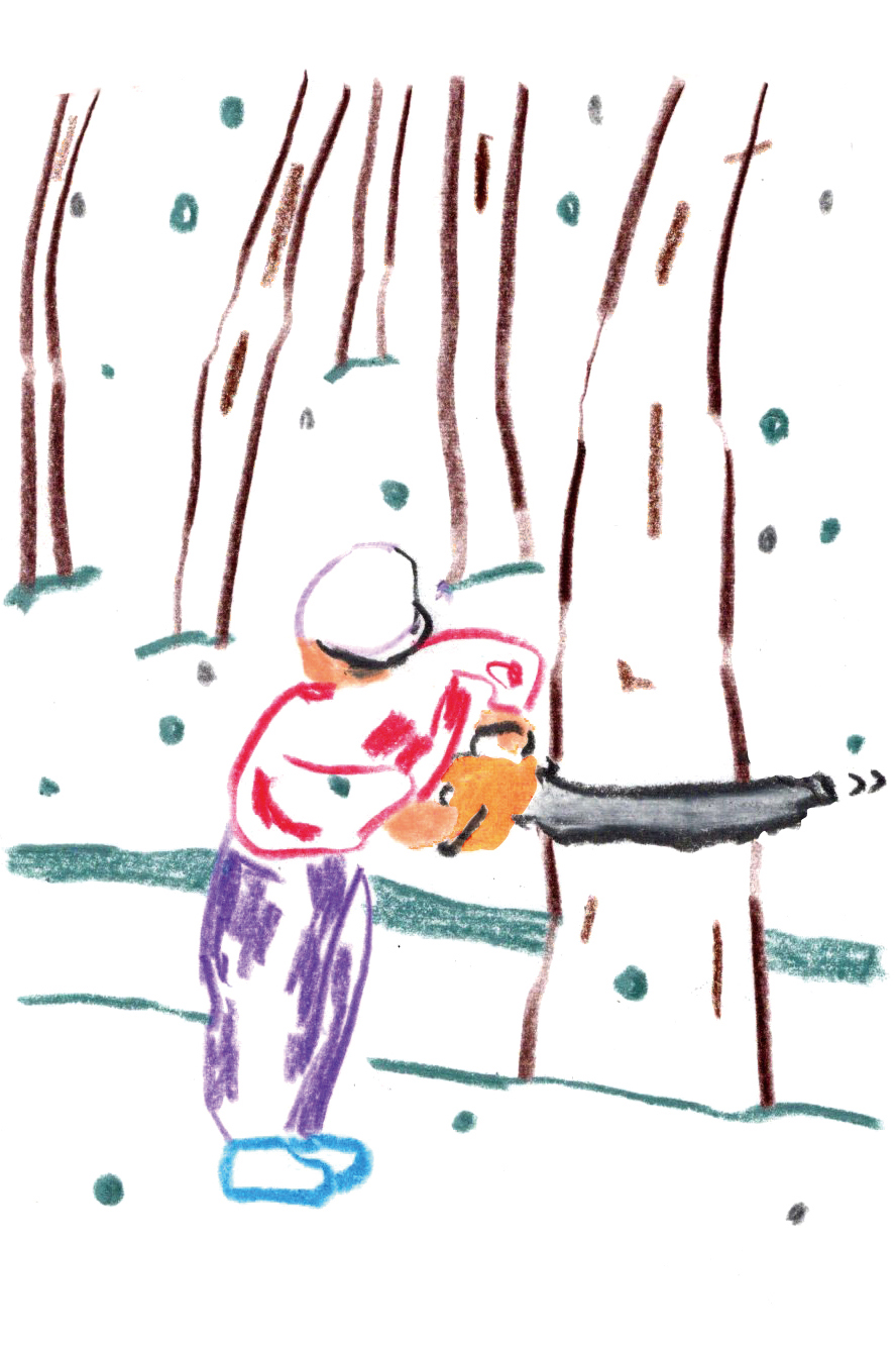 木こりの一年の関連画像