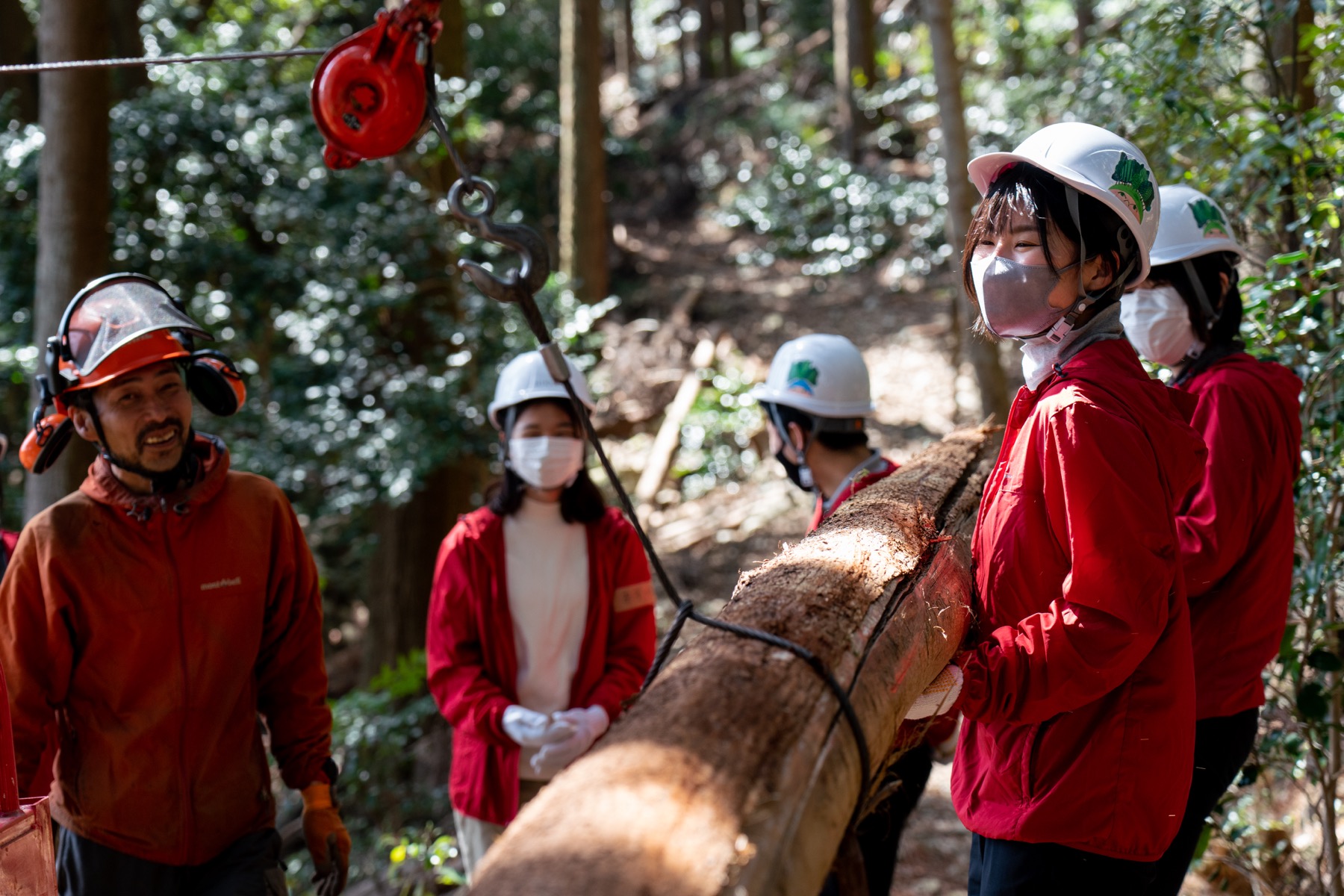 天竜の木を使ってみるの関連画像
