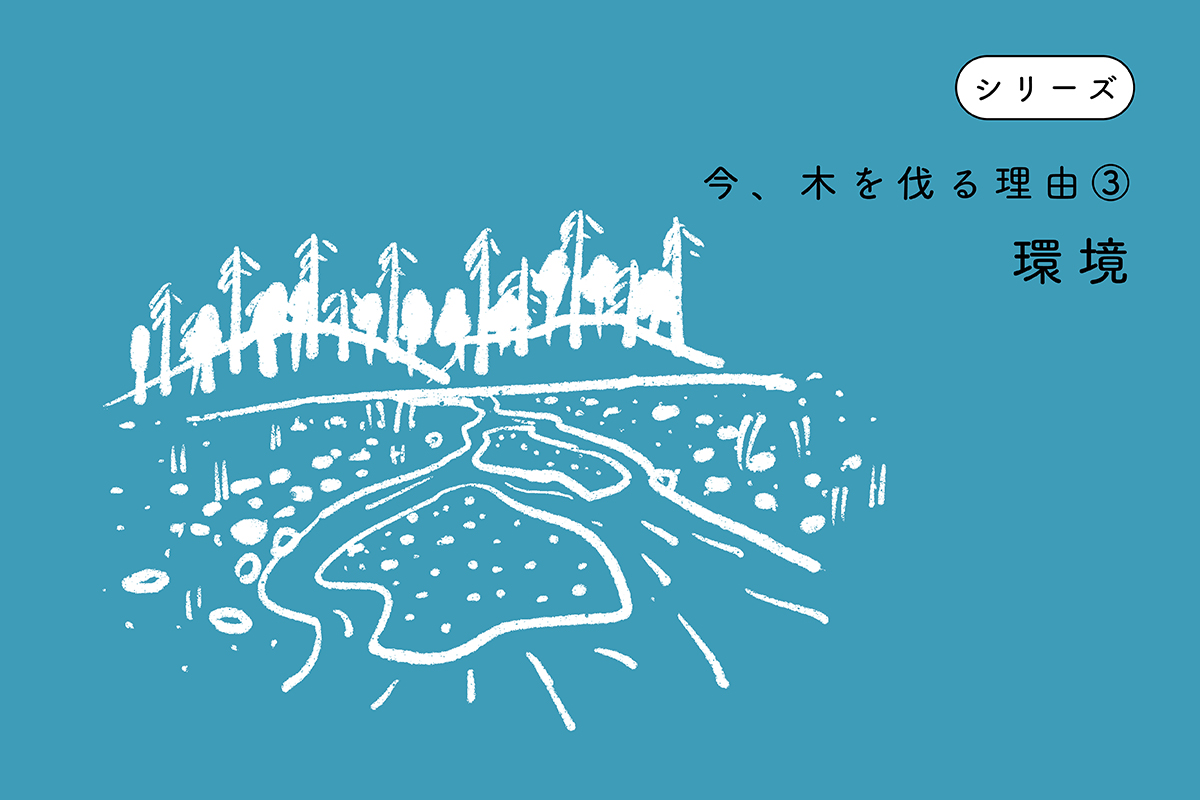 今、木を伐る理由③ 環境の関連画像