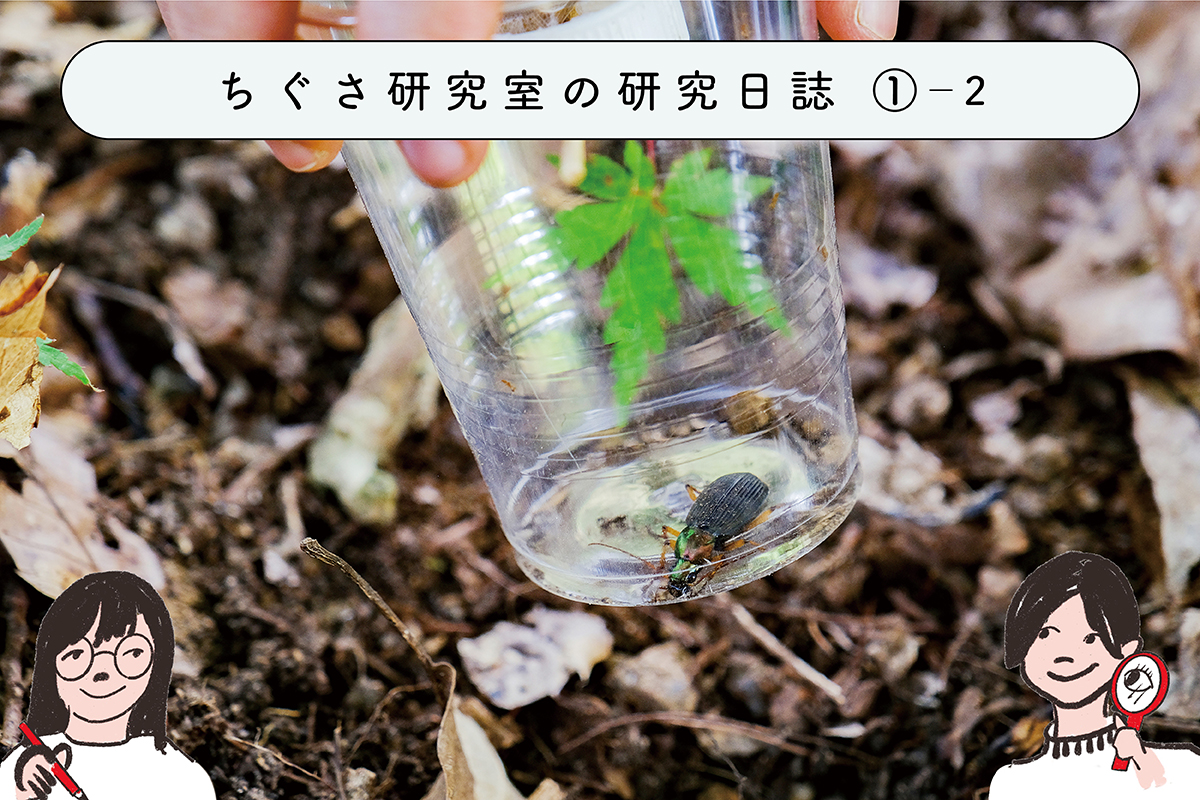 すべて見せます機械昆蟲の世界! 昆虫たち 仕掛け