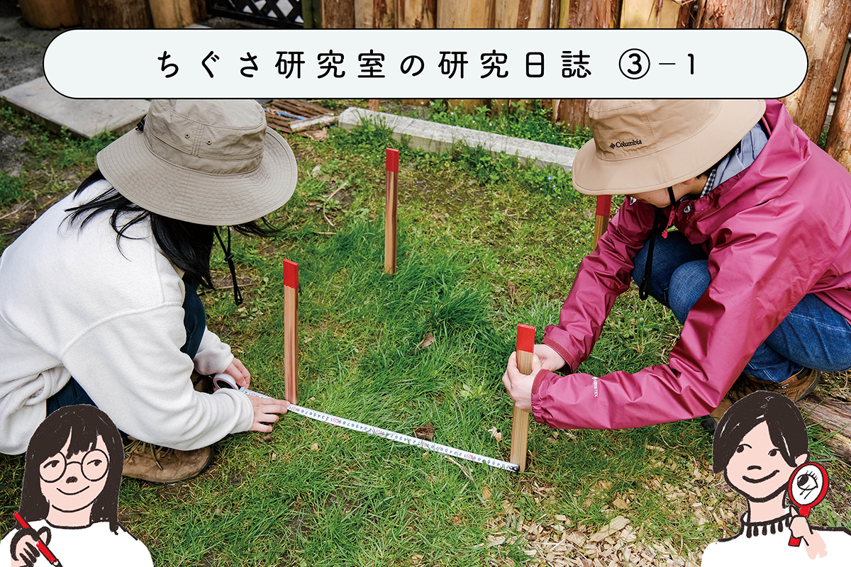 木を見て森を知ろう!「毎木調査」をやってみよう ④結果発表とまとめ ちぐさ研究室の研究日誌 #5 | ちぐさ研究室の研究日誌 | 新林