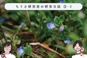 ちぐさ研究室の研究日誌③-2