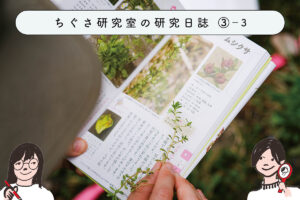 ちぐさ研究室の研究日誌③-3