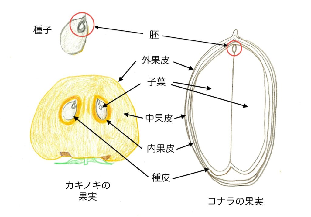 断面図　中田氏 ３ステップで学ぶ地形断面図 | 国土地理院