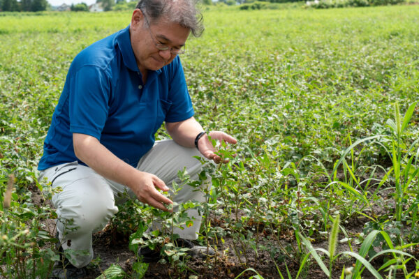 カンゾウの新たな可能性を拓いた、100年の森づくり／ 王子薬用植物研究所株式会社　佐藤茂さん　波多江幸裕さんの関連画像