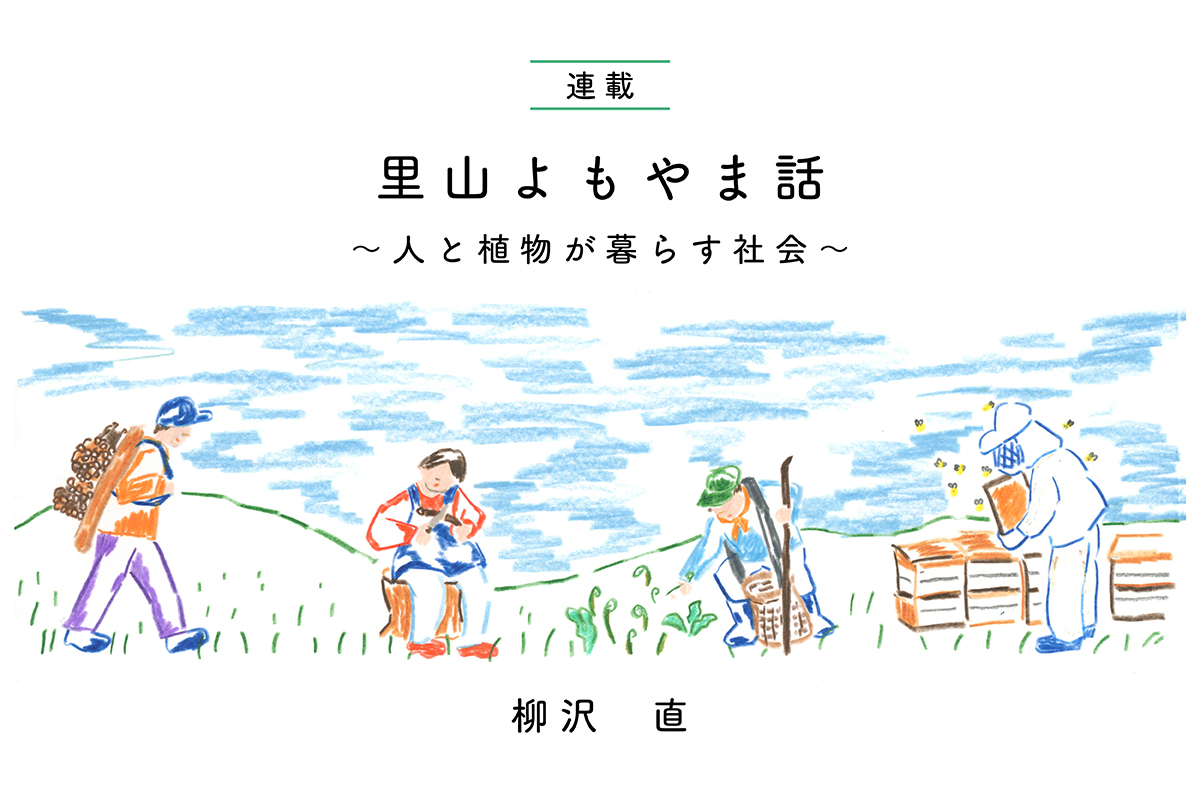 里山よもやま話 〜人と植物が暮らす社会〜の関連画像