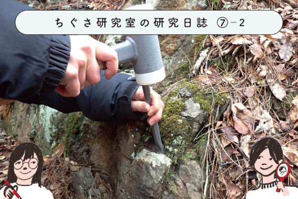 身近な「岩石」を調べてみよう! ②石の採集に行こう!の関連画像