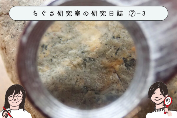 身近な「岩石」を調べてみよう! ③石の種類を調べよう!の関連画像