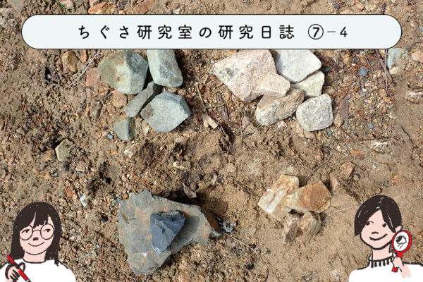 身近な「岩石」を調べてみよう! ④石調べのまとめの関連画像