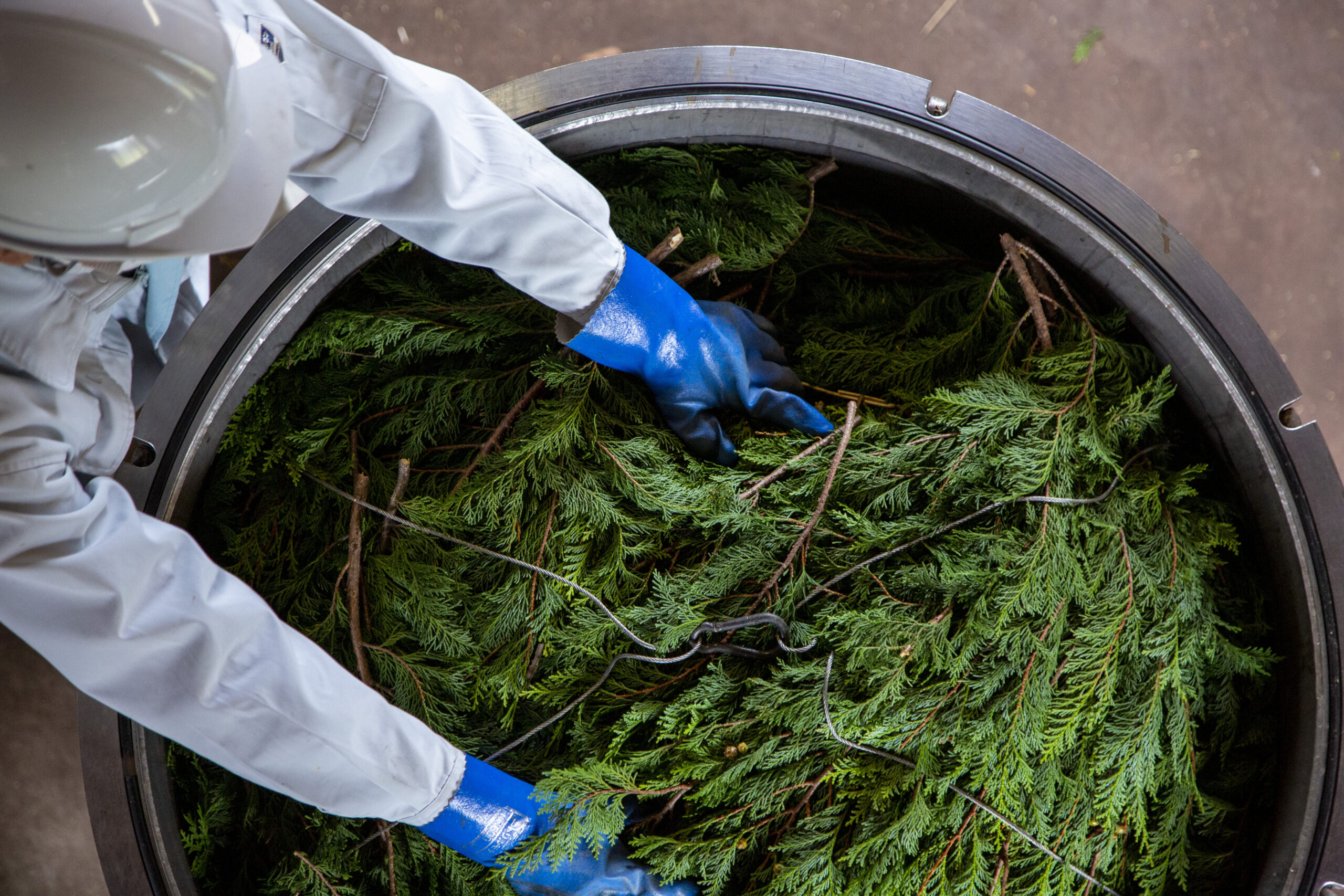 国産材の可能性を追求する老舗企業の、精油を使ったブランドづくり/丸山木材ホールディングス株式会社 丸山大知さんの関連画像