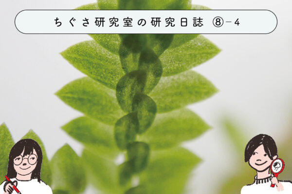 初心者にもオススメ!?シダ植物調査をしてみよう ④まとめの関連画像