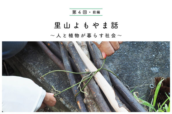 我々の役に立つツル植物【前編】 簡単に作れる「紐」の関連画像
