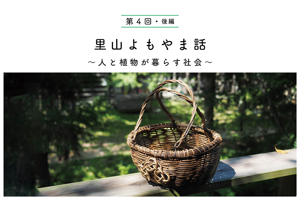 我々の役に立つツル植物【後編】 簡単には作れない「篭（かご）」 里山