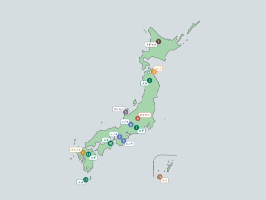 森と香りの関連画像