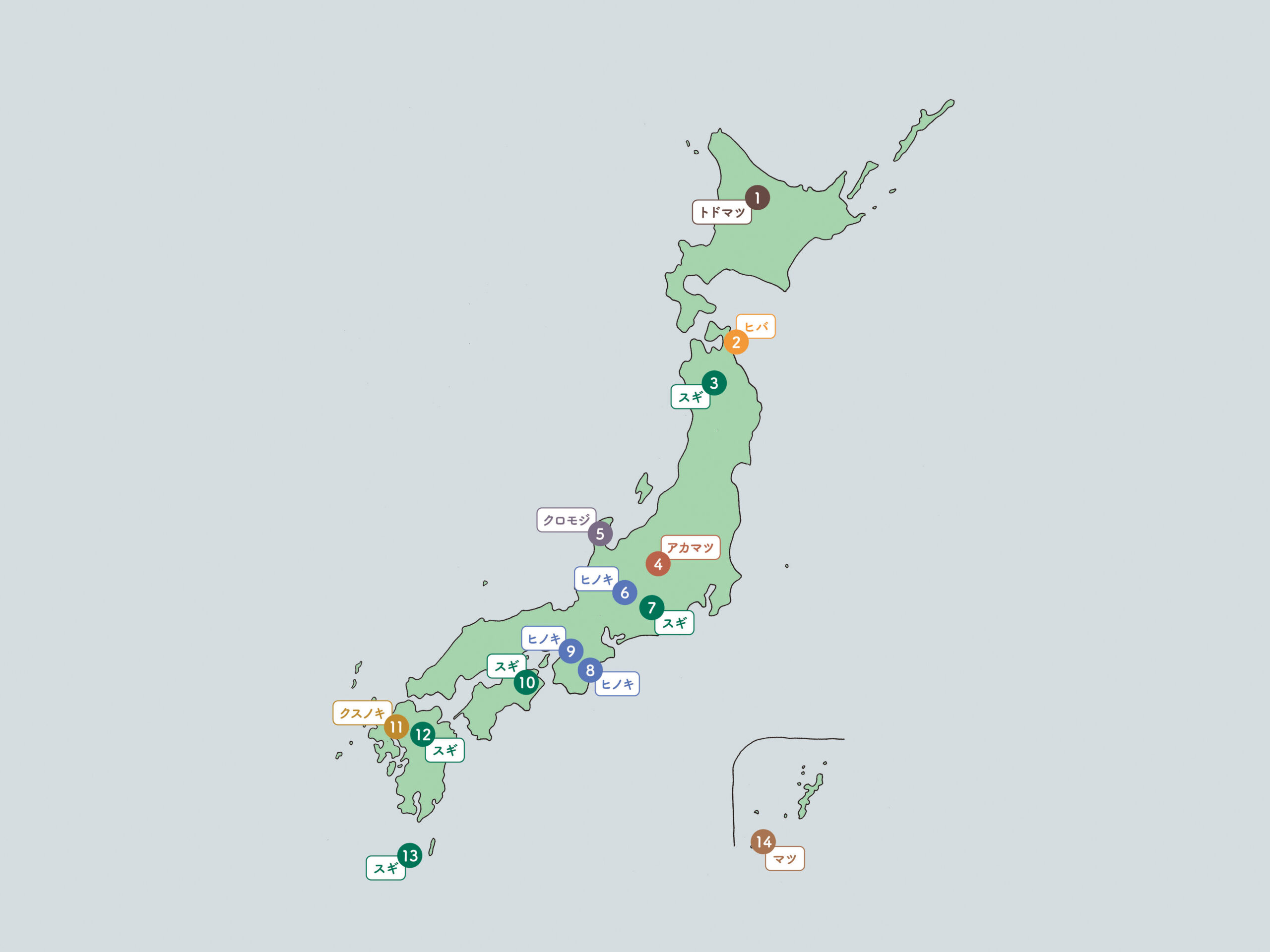 森と香りの関連画像