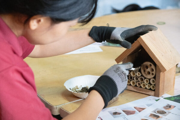 昆虫たちのためのホテルを作ってみよう！　③インセクトホテル作りイベントレポの関連画像