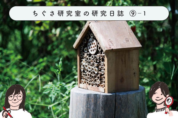 昆虫たちのためのホテルを作ってみよう！　①今、昆虫たちが減っている？の関連画像
