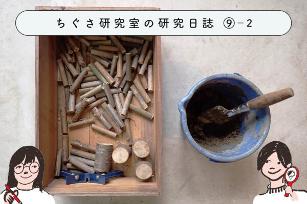 昆虫たちのためのホテルを作ってみよう！　②インセクトホテルの作り方の関連画像