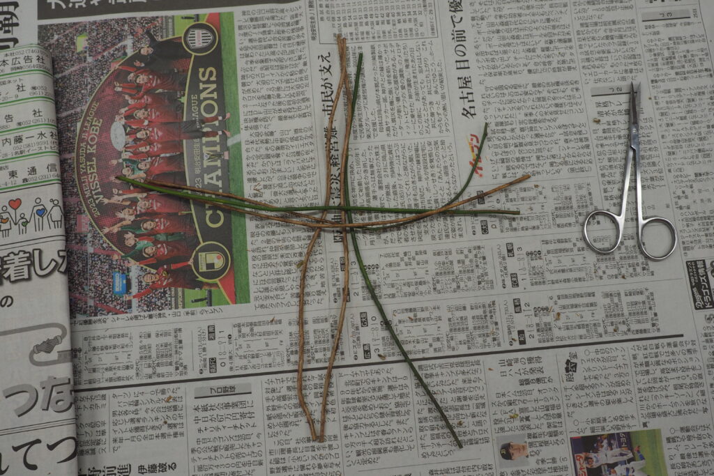 新聞紙の上にツルを直行するように並べる