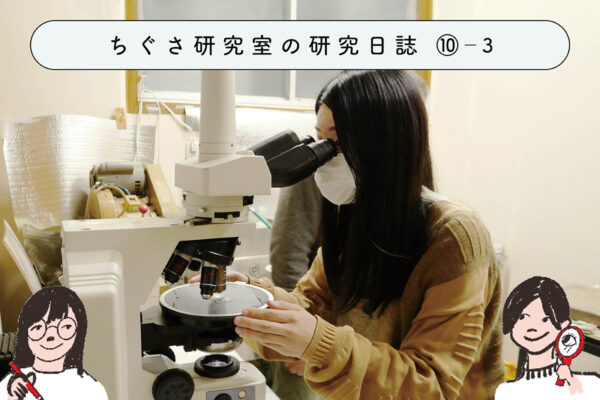 続・身近な「岩石」を調べてみよう！～益富地学会館出張編～　③地学会館で研究していることの関連画像