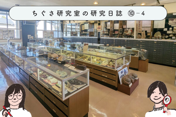 続・身近な「岩石」を調べてみよう！～益富地学会館出張編～　④展示室を見にいこう！の関連画像