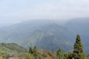 麗しき台湾の森への関連画像