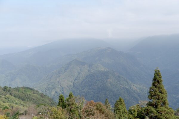 麗しき台湾の森への関連画像
