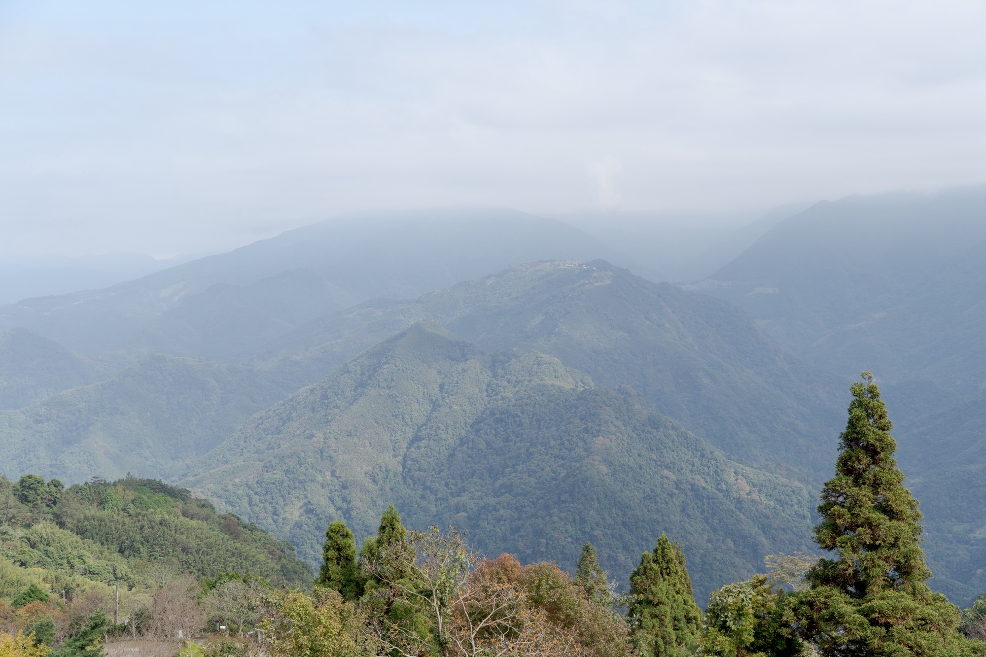 Into Taiwan’s Beautiful Forests's Related image