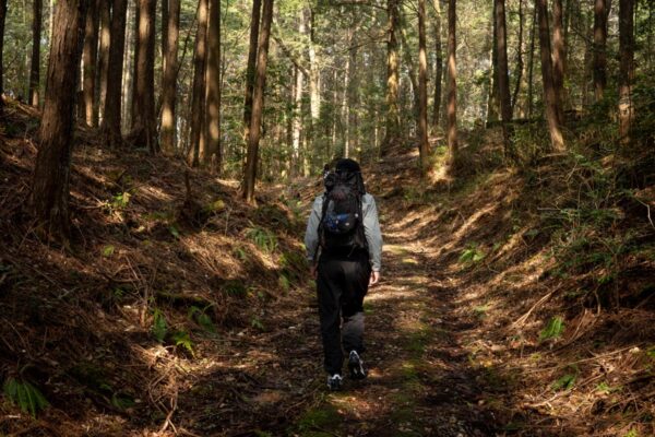 実践編　森を歩いてみた　東海自然歩道の関連画像