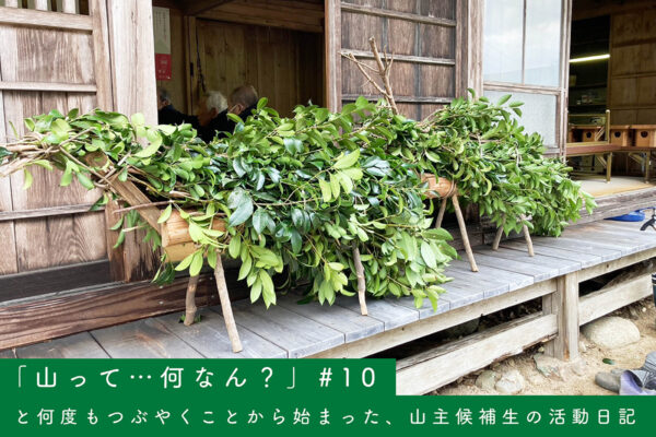 #10 甘い幻想／辛すぎない理想②　「ためらい」と肩を並べての関連画像