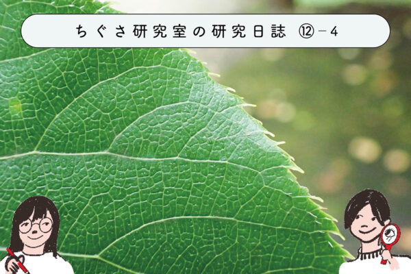 この木なんの木?図鑑を使って調べよう ④樹種同定 -つる植物編とまとめ-の関連画像